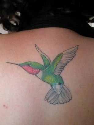 Hummingbird Pic Tattoo On Back